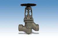 ARI-IMAGE-45.0493-ANSI-300-ARI-FABA-PLUS-Socket-weld-ends ARI-IMAGE-45.0493-ANSI-300-ARI-FABA-PLUS-Socket-weld-ends